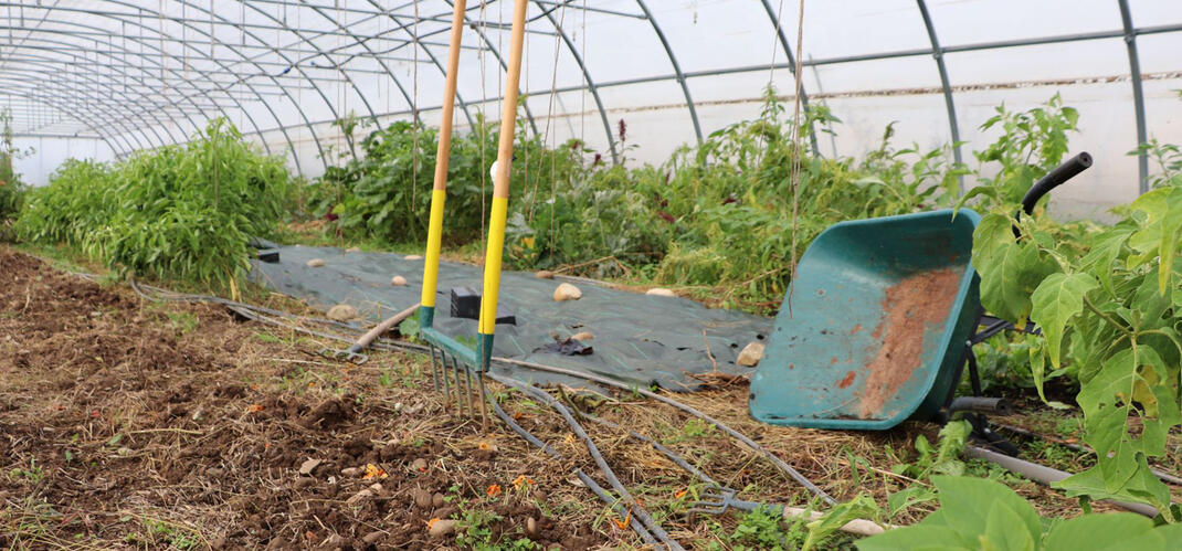 Des serres tout équipé Des serres tout équipé