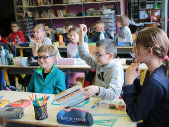 Les parcours éducatifs Les parcours éducatifs