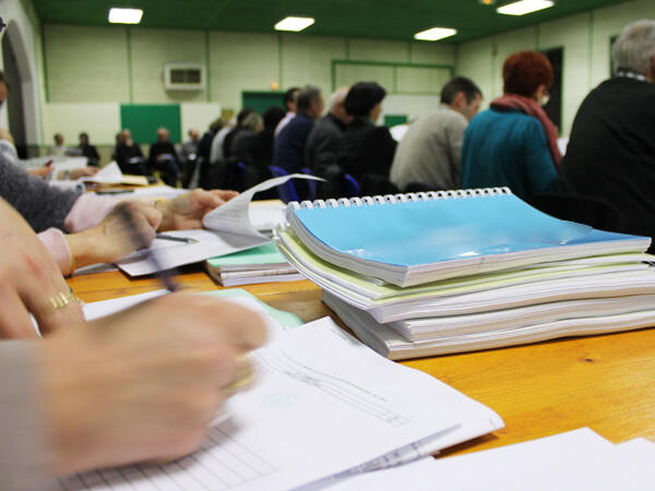 Les instances politiques